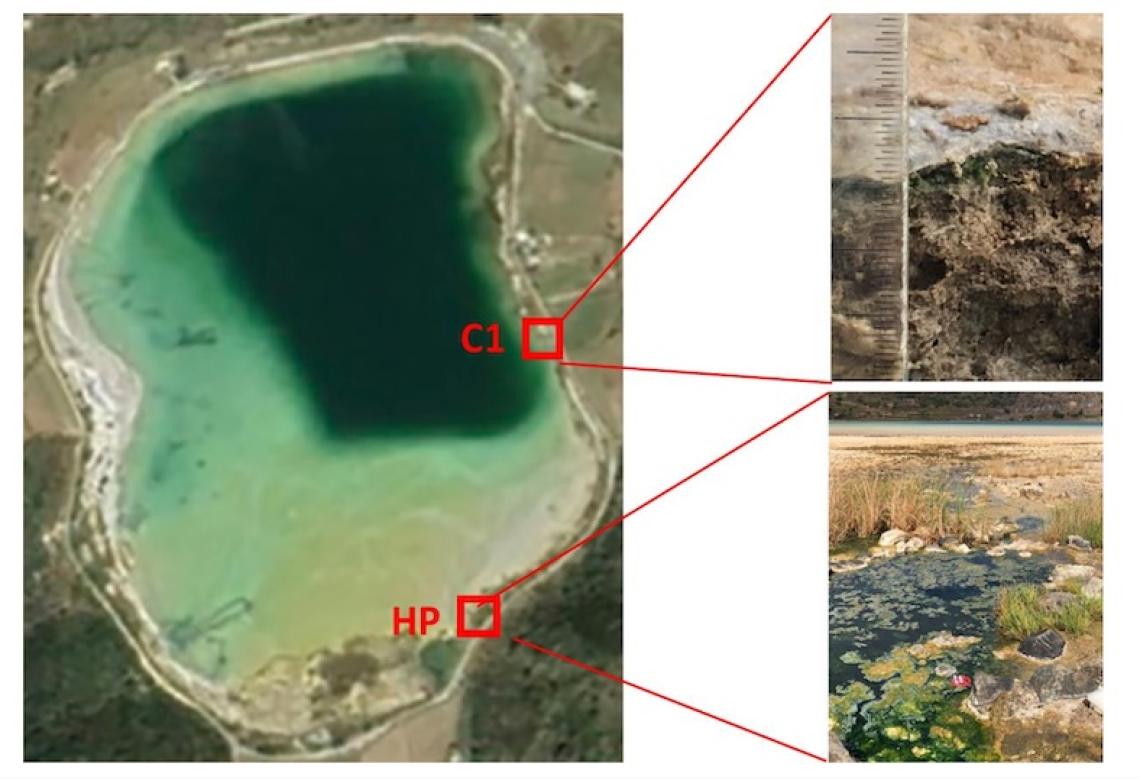 mmagine satellitare del Lago Bagno dell'Acqua che riporta la posizione della sorgente termale (HP) dove sono stati incubati i campioni per la polimerizzazione abiotica e il sito (C1) di campionamento dei microbialiti