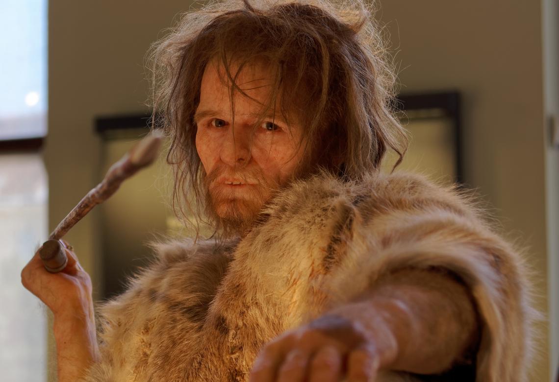 Homo Sapiens, Cro-Magnon 1 The Natural History Museum Vienna