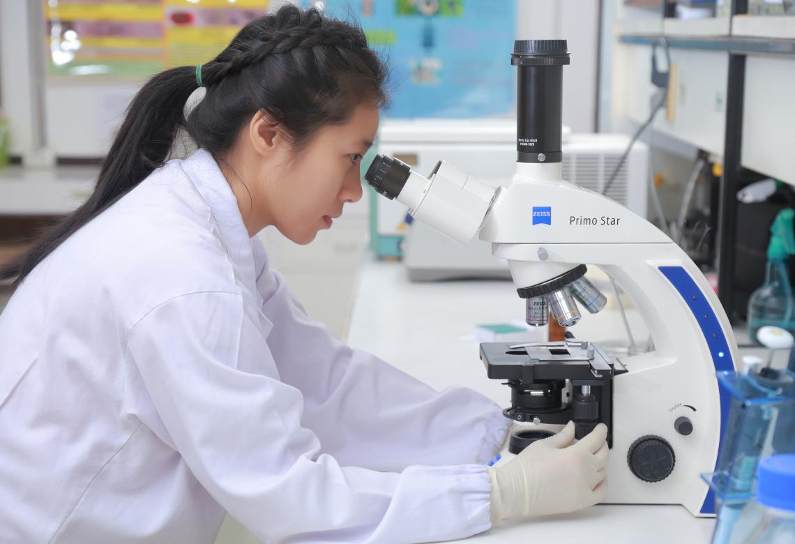 Scientists are working in the lab